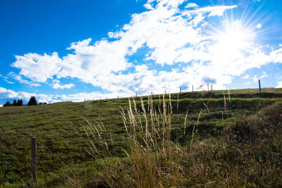 Scenic view of grassy field against sky