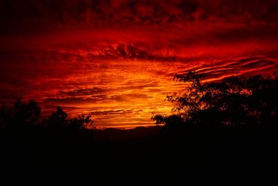 Scenic view of silhouette trees against sky at sunset