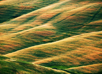 High angle view of green landscape