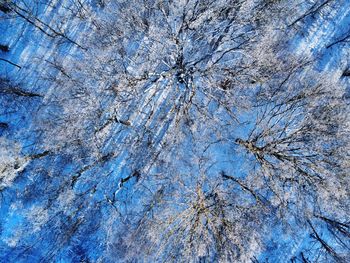 frost