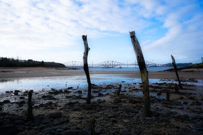 Bare trees on beach against sky