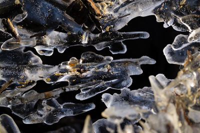 Close-up of ice crystals