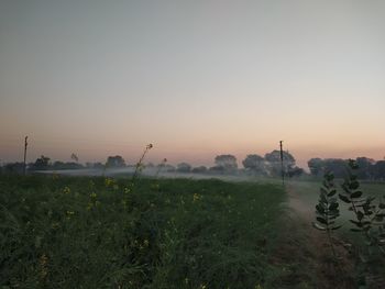 Scenic view of field against clear sky during sunset