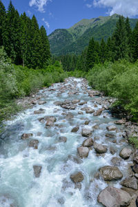 Scenic view of stream amidst trees against sky