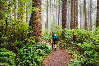 Rear view of woman walking on footpath amidst trees in forest