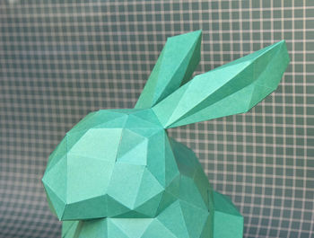 Close-up view of leaf