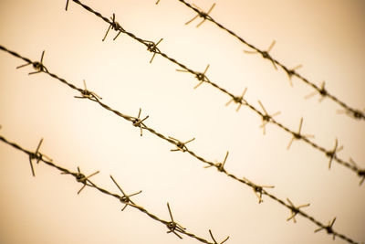 Low angle view of barbed wire against clear sky