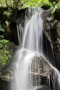 Low angle view of waterfall in forest