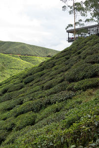 Scenic view of land against sky