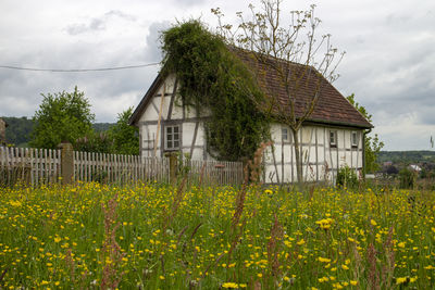 rural area