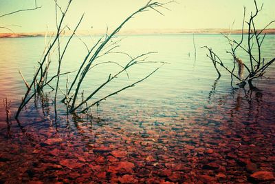 Scenic view of lake against clear sky