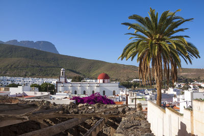 Palm trees and buildings against sky