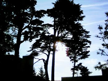 Low angle view of silhouette trees against sky