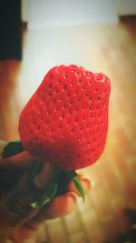 Close up of red flower