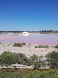 Scenic view of calm sea against clear sky