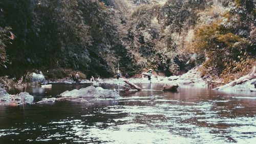 View of birds in lake