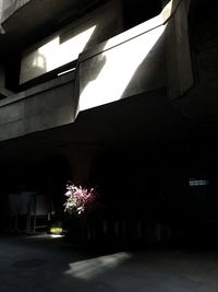 Low angle view of illuminated building in city