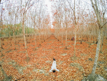 Man lying on autumn leaves amidst bare trees in forest