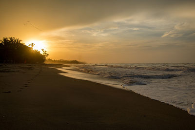 Scenic view of beach against sky during sunset