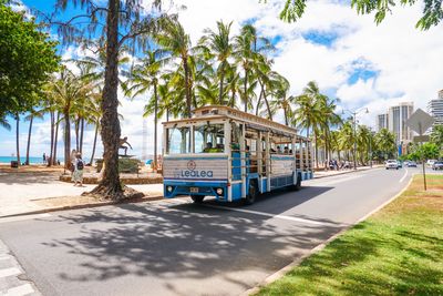 Road by palm trees against sky