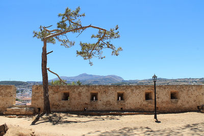 View of tree on desert against blue sky