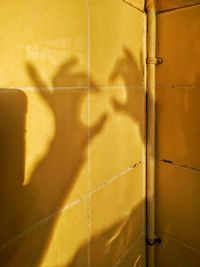 Close-up of yellow shadow on door