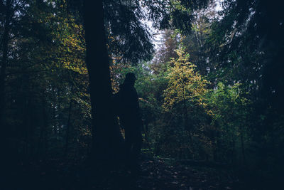 Silhouette man standing by trees in forest