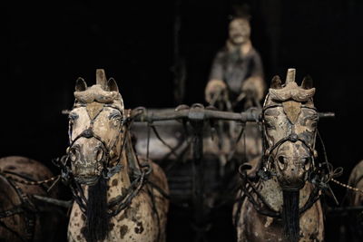 1461 bronze war chariot horses-funerary statuary depicting qin shi huang emperor's army. xian-china.