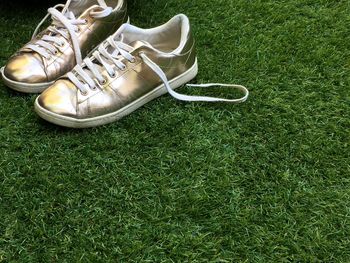 High angle view of shoes on grass