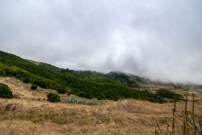 Scenic view of landscape against sky