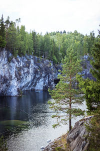 Scenic view of river amidst trees against sky