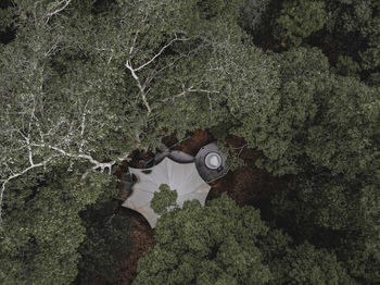 High angle view of rock amidst trees in forest