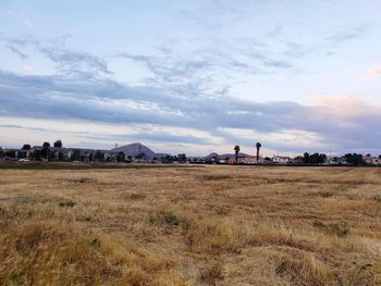 Scenic view of field against sky