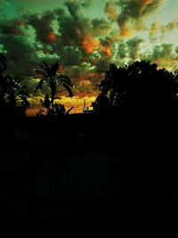 Trees against sky at sunset