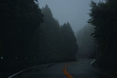Empty, foggy road amidst trees against sky