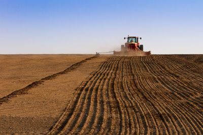 Agriculture tractor sowing seeds and cultivating field in late afternoon, rear view 
