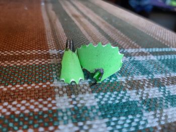 High angle view of green leaf on table