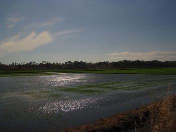 Scenic view of land against sky