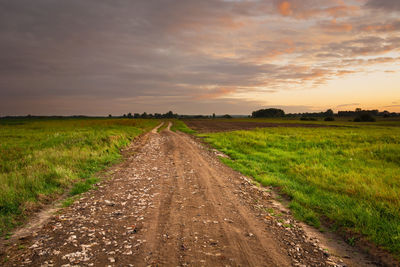 Sandy dirt road with stones, green fields and dark evening clouds