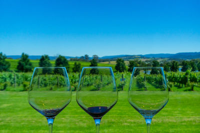 Panoramic shot of wine glasses against blue sky