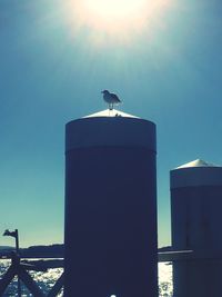 Low angle view of bird perching on building against sky