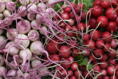 Close-up of vegetables for sale in market