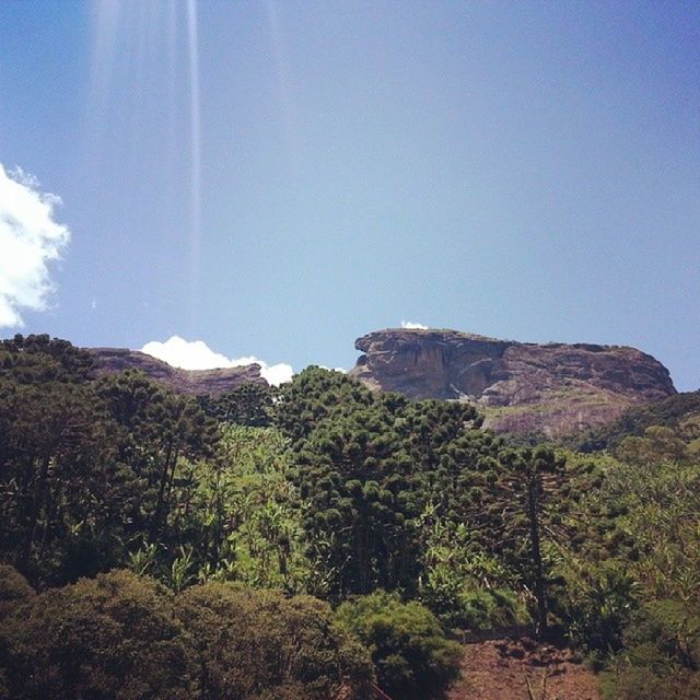 tranquility, mountain, tranquil scene, scenics, beauty in nature, nature, clear sky, tree, rock formation, blue, landscape, non-urban scene, rock - object, idyllic, sky, geology, physical geography, low angle view, sunlight, copy space