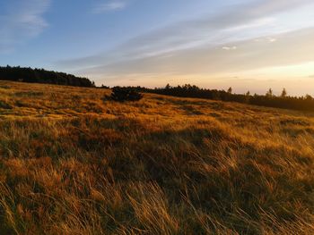 Scenic view of field against sky during sunset