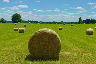 Hay bales on a farm in the country.