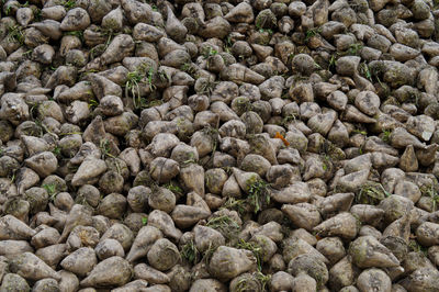 Full frame shot of bread in market