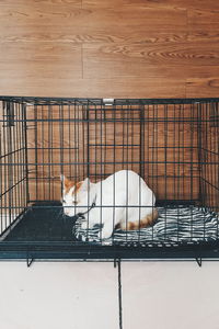 Metal grate in cage