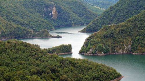 Scenic view of river in forest against sky