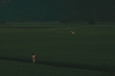 Person standing on field