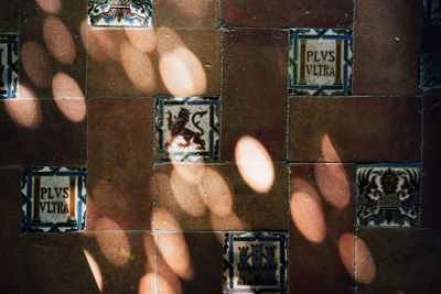 Reflection of cat on mirror